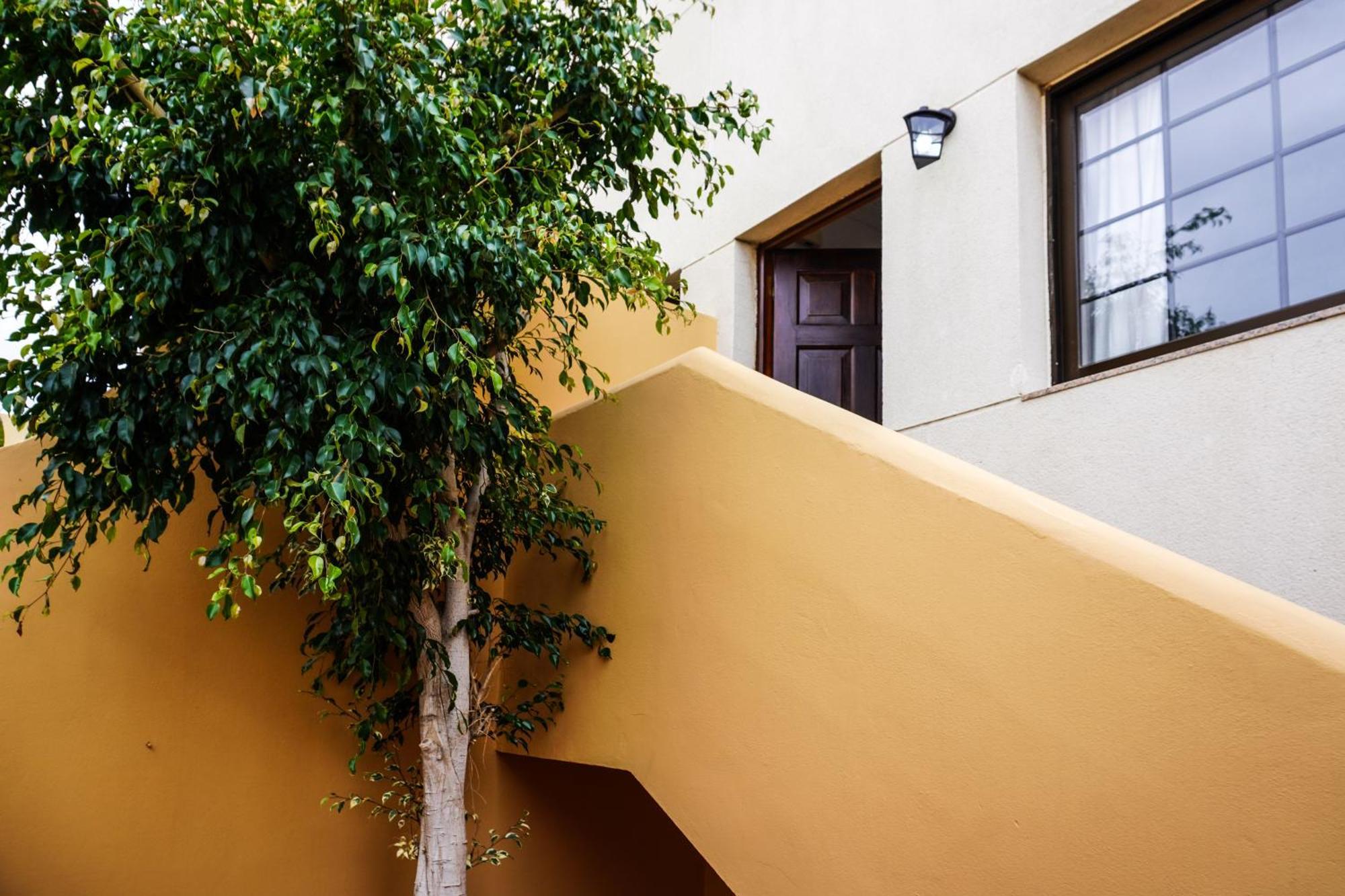 Bright House With Working Space *